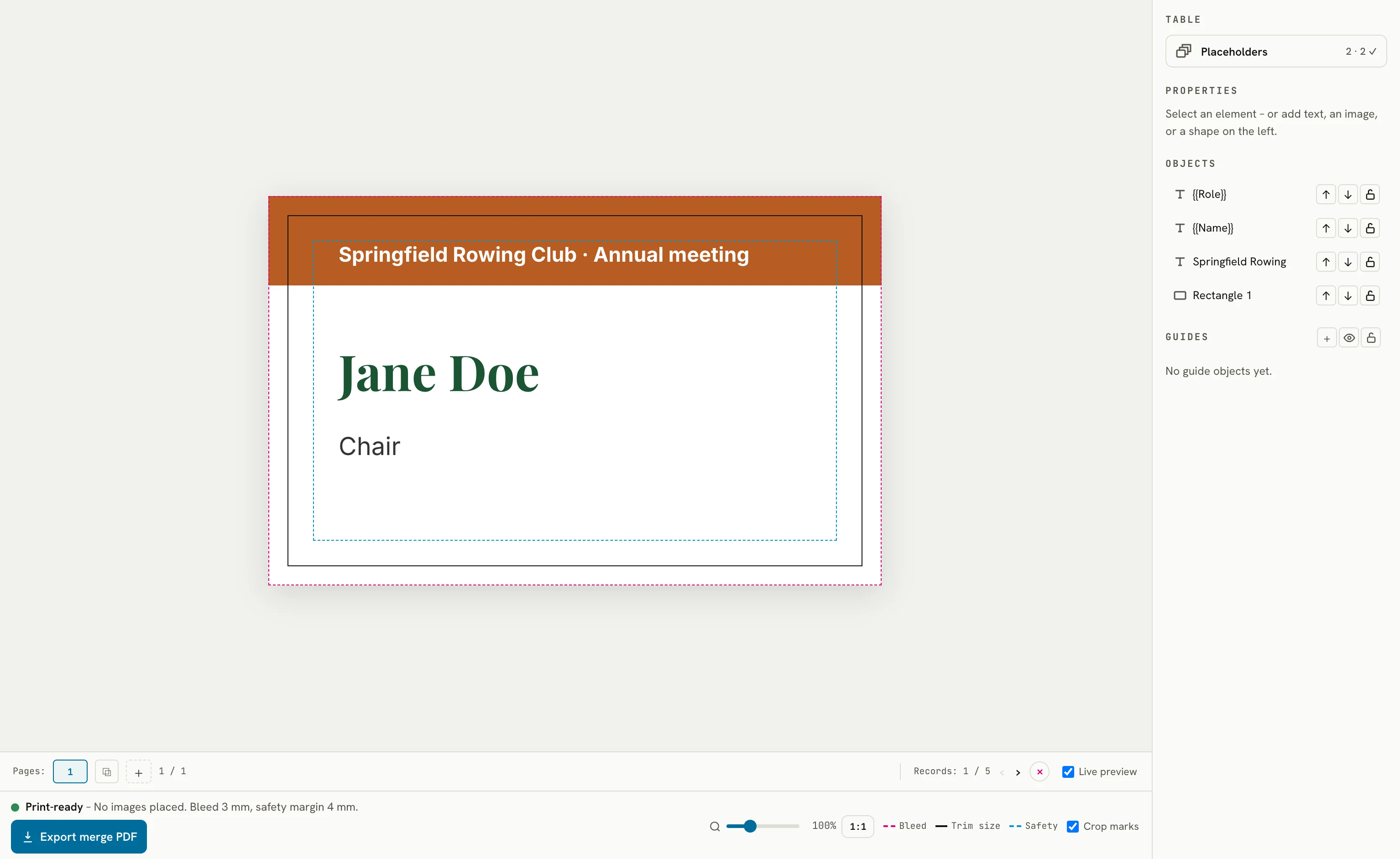 Name badge in the editor with a live preview of the first record, the records bar at the bottom
